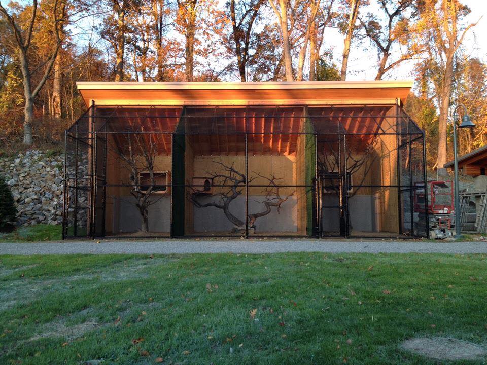 bird cage enclosure
