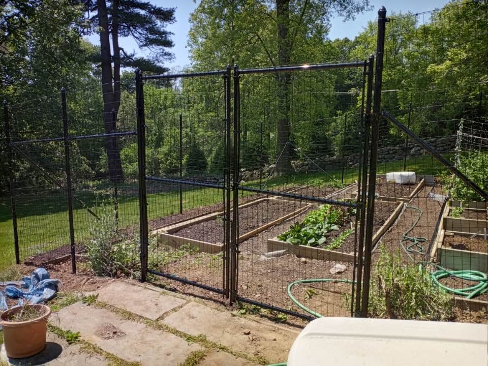 black welded wire garden enclosure